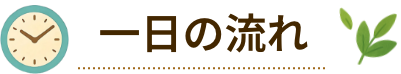 一日の流れ