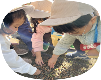 どんぐりを拾う子どもたち